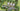 AIRBNB2F1 - Bungalows Airbnb & Plaza — Full Resort & Commercial Complex Master Plan