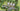 AIRBNB2F1 - Bungalows Airbnb & Plaza — Full Resort & Commercial Complex Master Plan